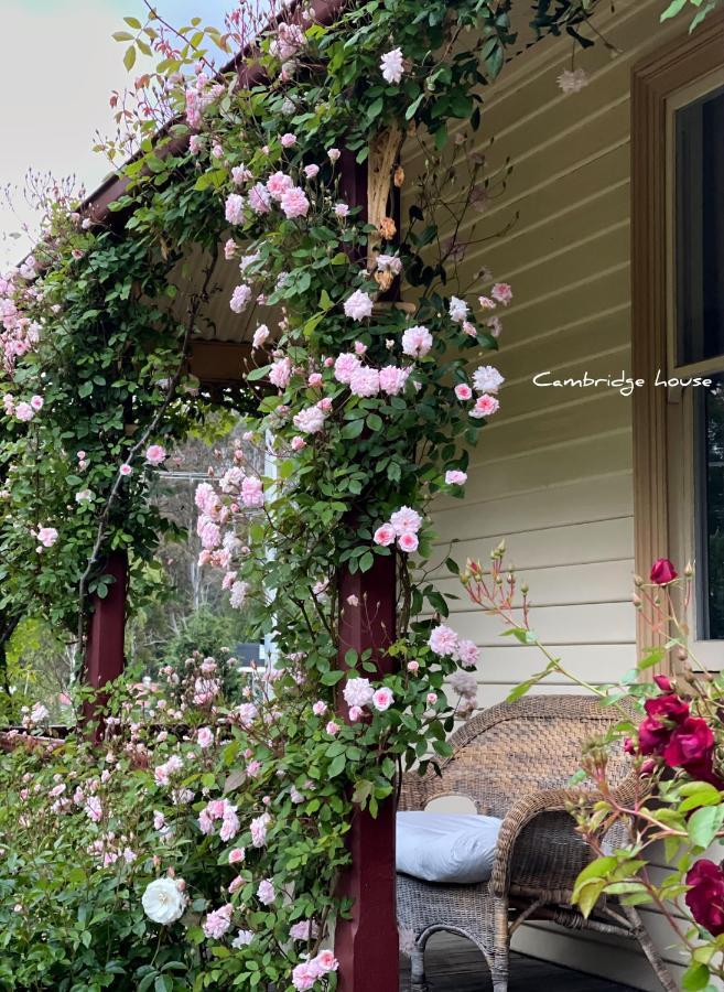 Bed and Breakfast Cambridge House Breakfast & Bed Geeveston Экстерьер фото