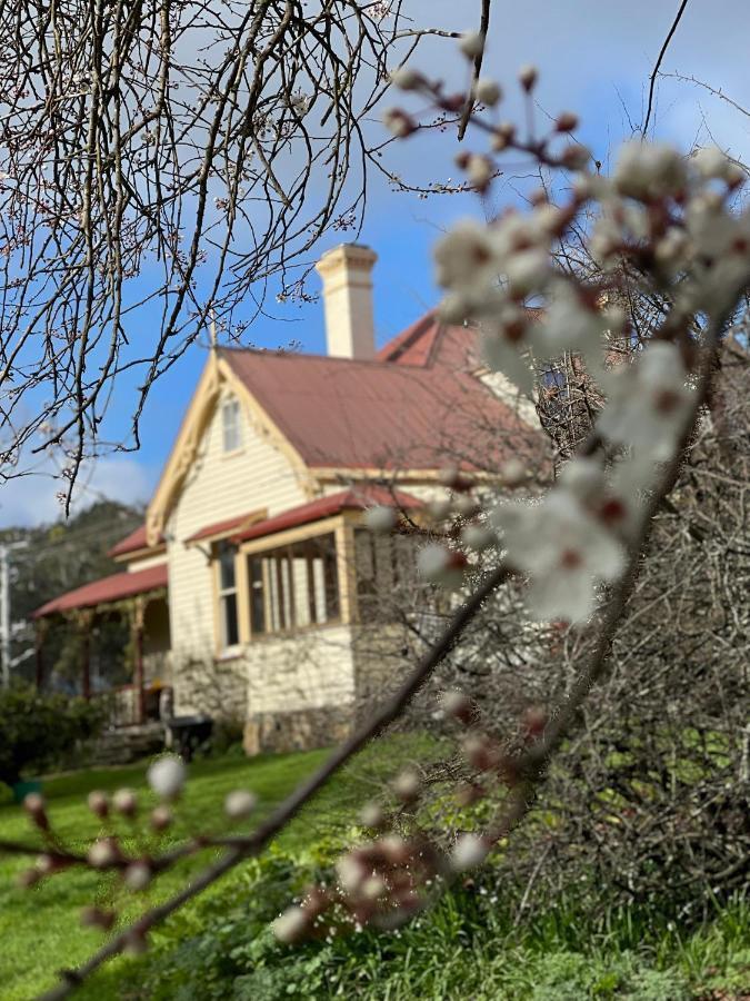 Bed and Breakfast Cambridge House Breakfast & Bed Geeveston Экстерьер фото